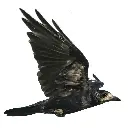 An extra pair of eyes: how to get the most out of a language reviser